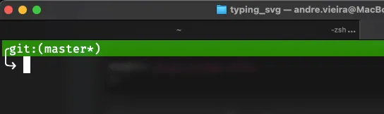 Criando um tema personalizado para o ZSH: Exibição de tema com cores e quebra de linhas